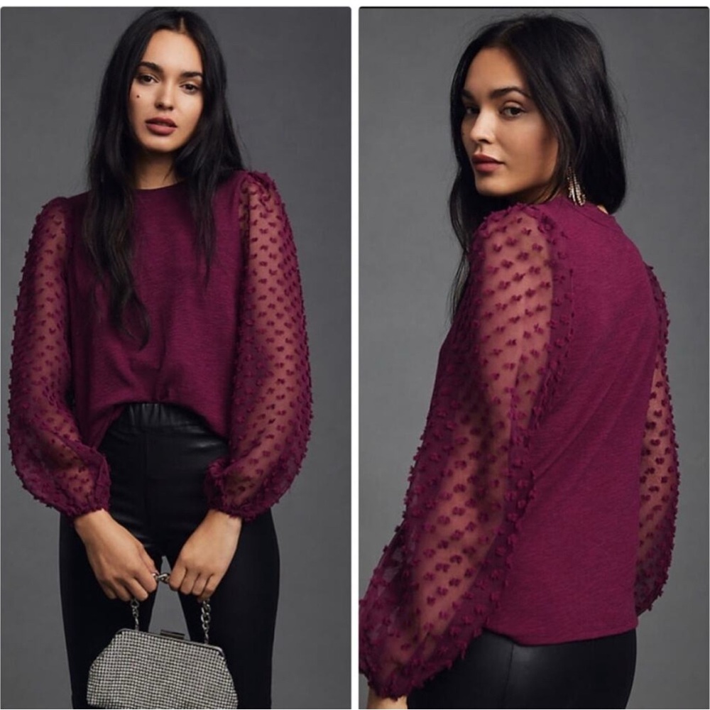Anthropologie Plum Sheer Sleeve Blouse